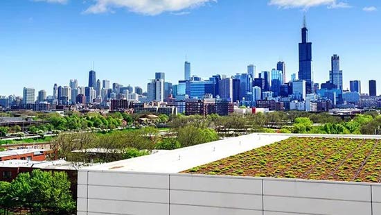 新京葡萄威尼斯