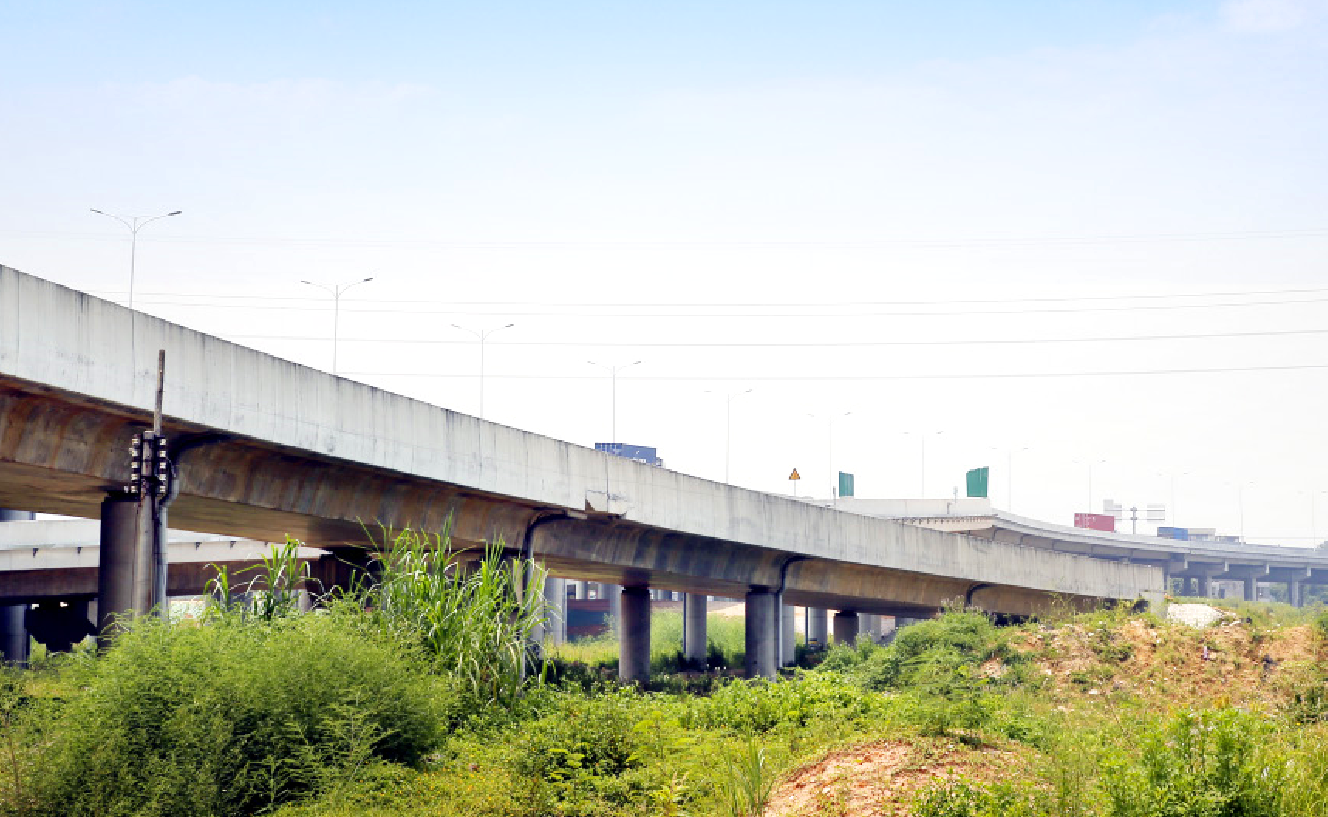 新京葡萄威尼斯