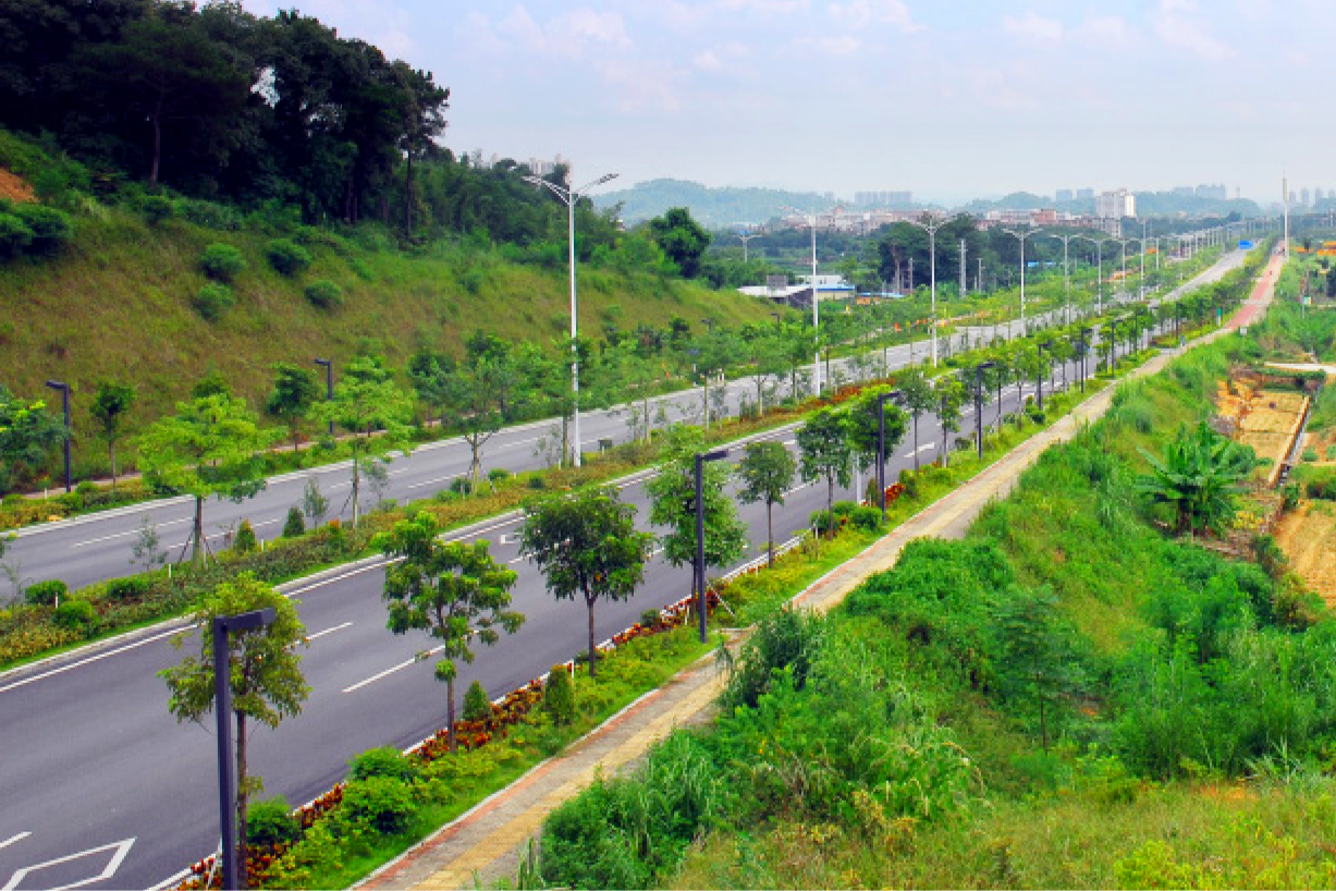 新京葡萄威尼斯
