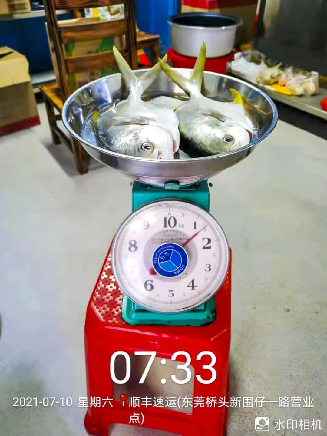 新京葡萄威尼斯